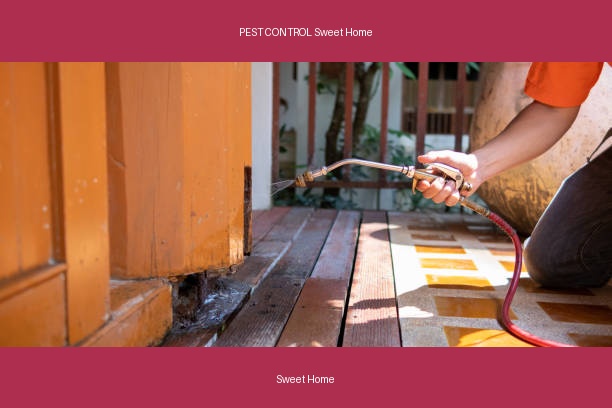 PEST CONTROL Sweet Home